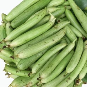 smooth luffa