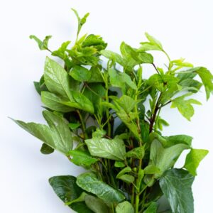 Roselle Leaves