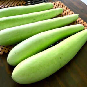 bottle gourd
