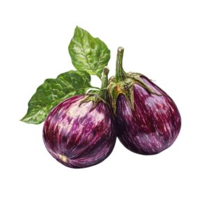 green brinjal