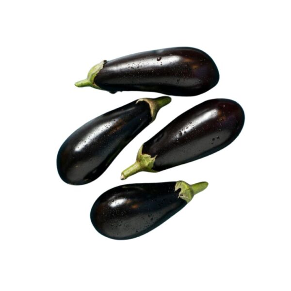 black brinjal