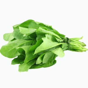 పాలకూర / Spinach