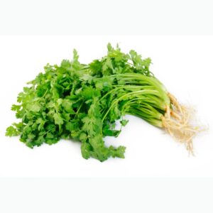 coriander leaves