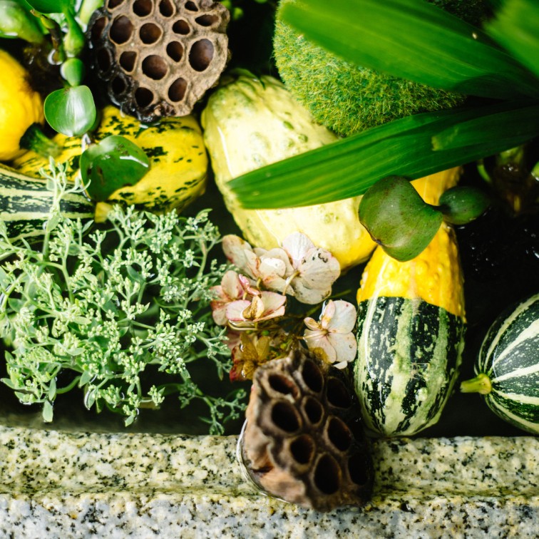 Creepers and Gourds