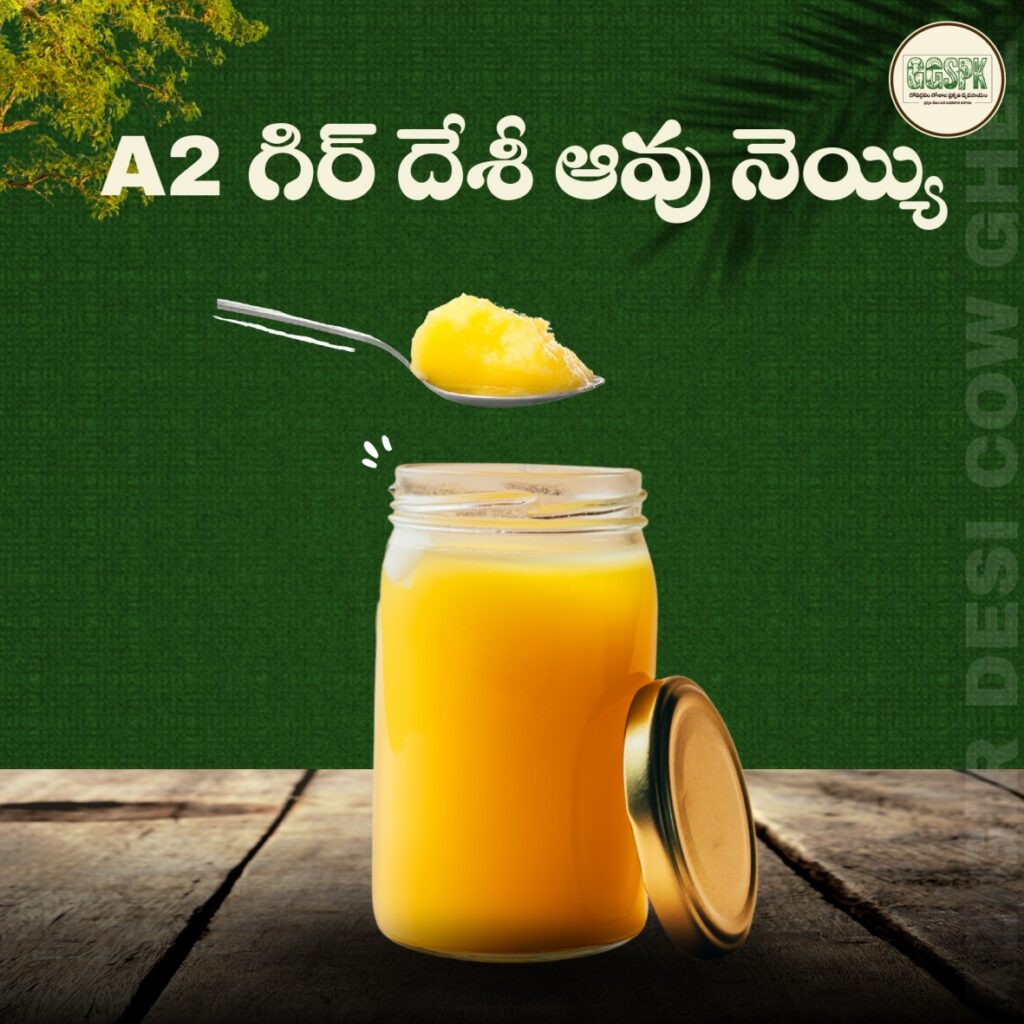 A2 gir Cow Ghee