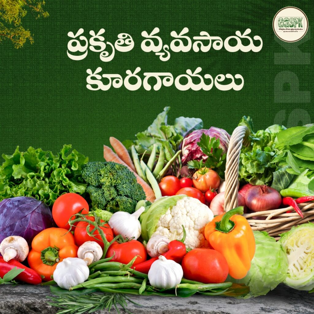 Natural farming vegetables